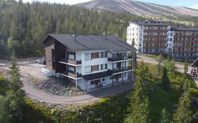 Villa Ylläs 102